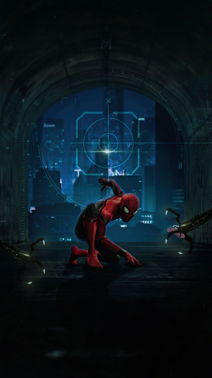spider