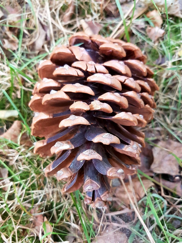 first signs of autumn