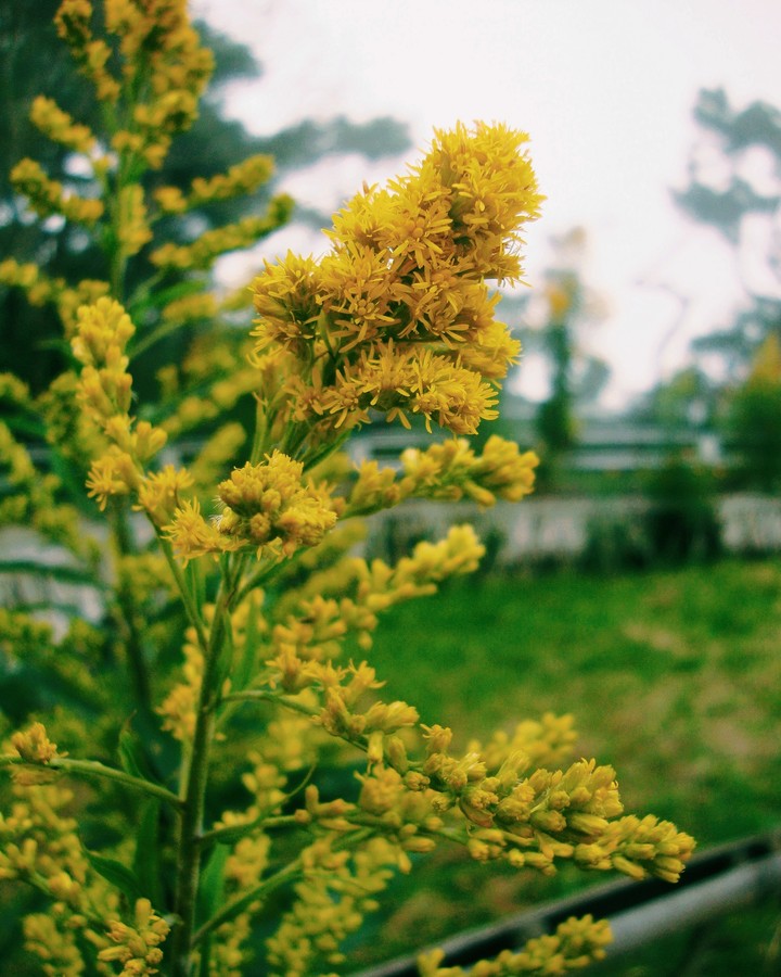Nature