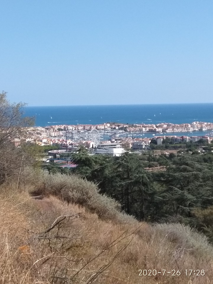 vue du port de cap d'agde
