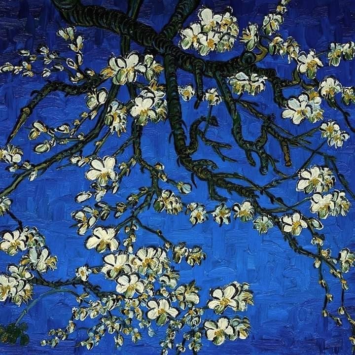 Blue Almond Blossom