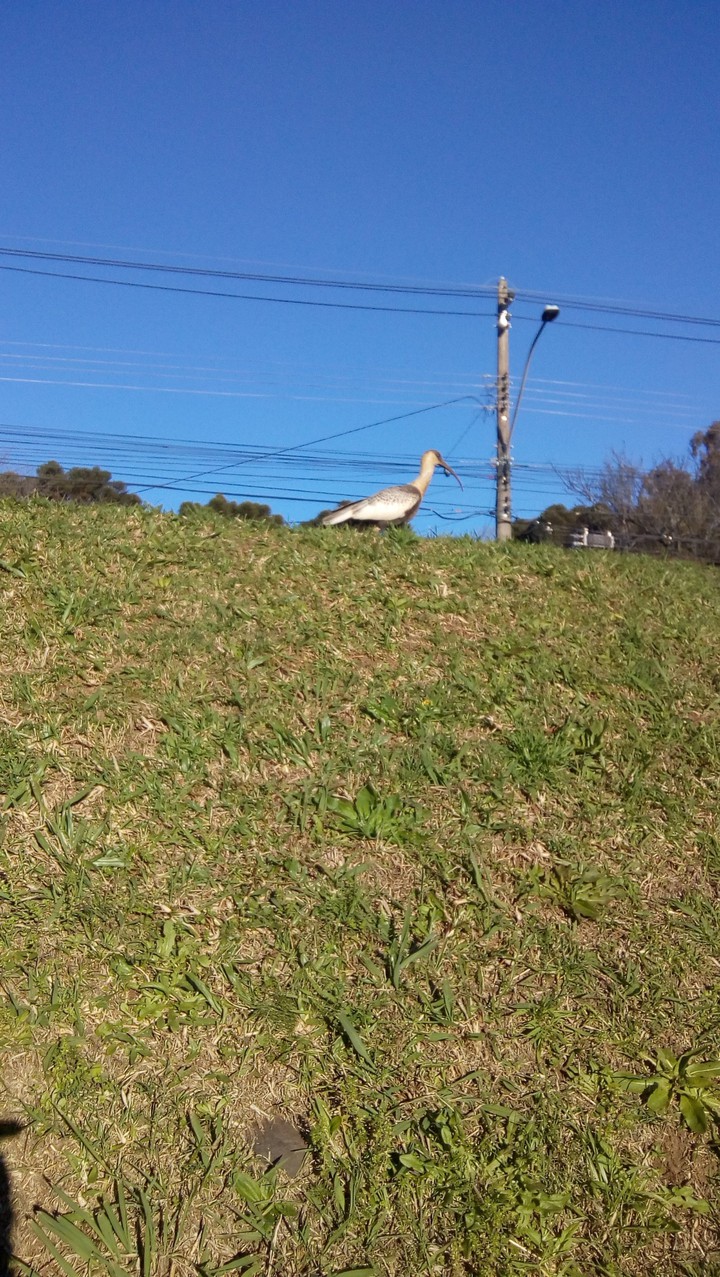 como a natureza e adorável