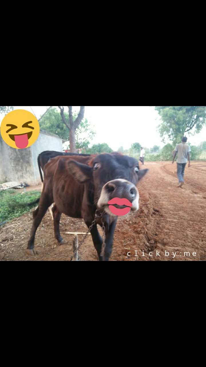 funny