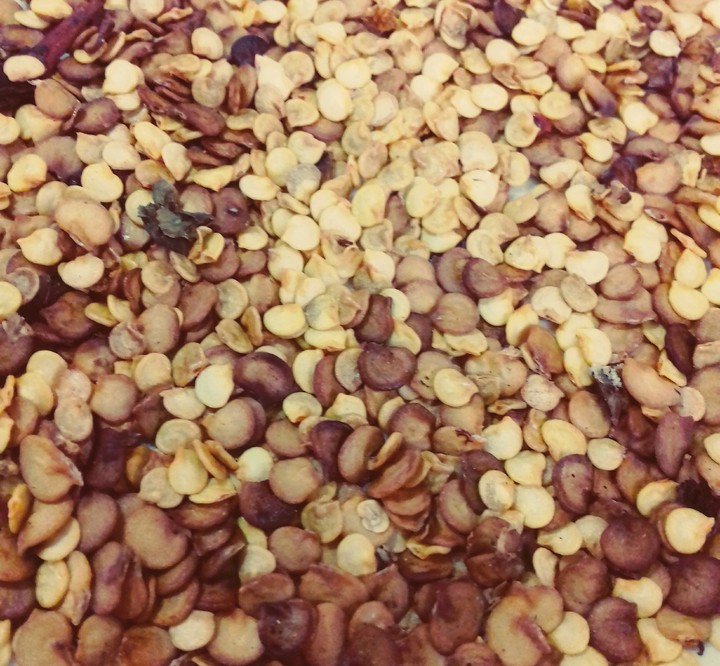 Seeds