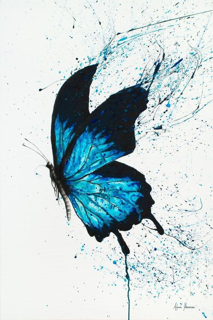 draw blue butterfly