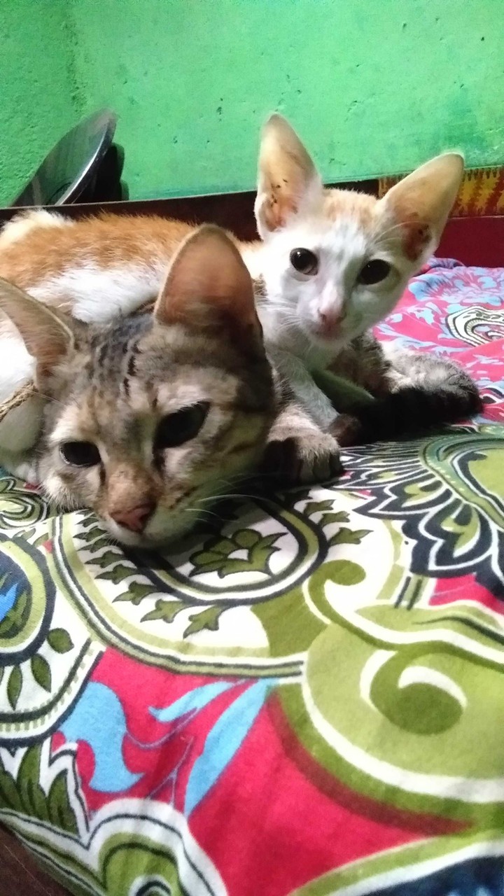 besties