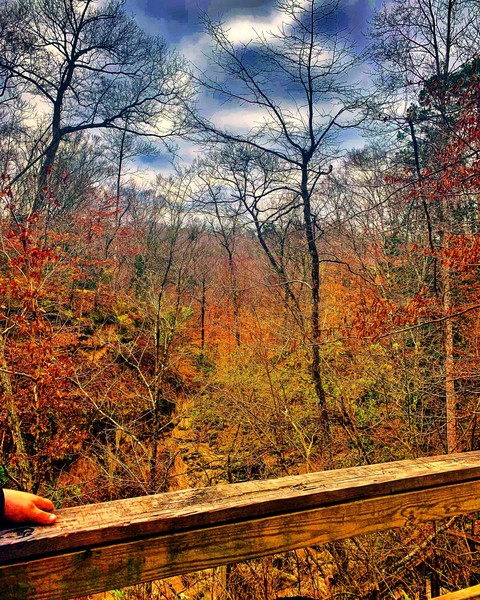 nature lover
