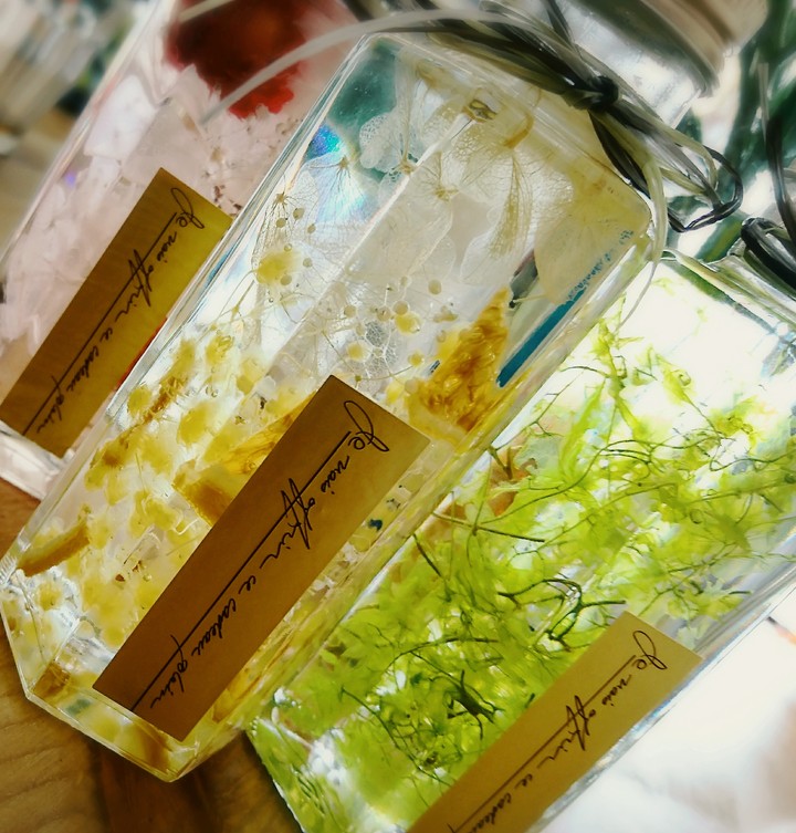Herbarium