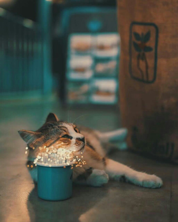 .