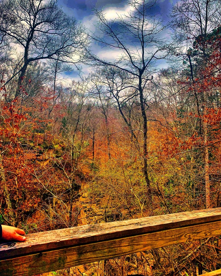 nature lover