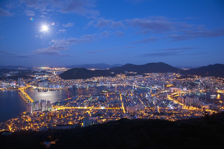 사진