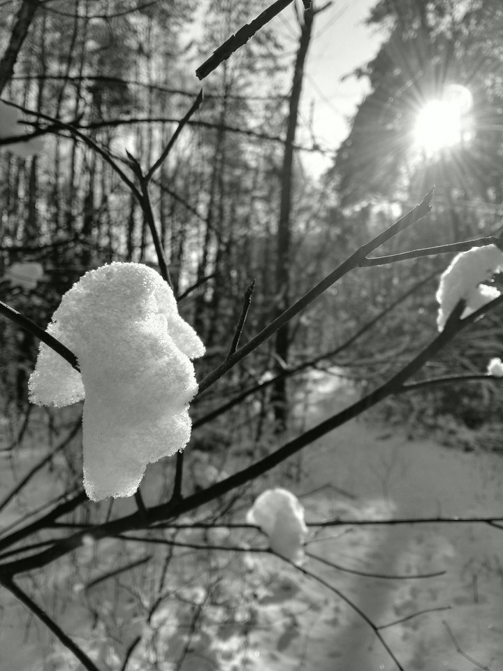 Polish winter