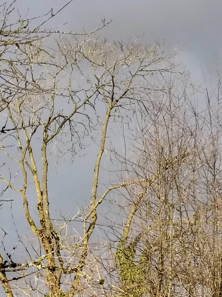 before the rain