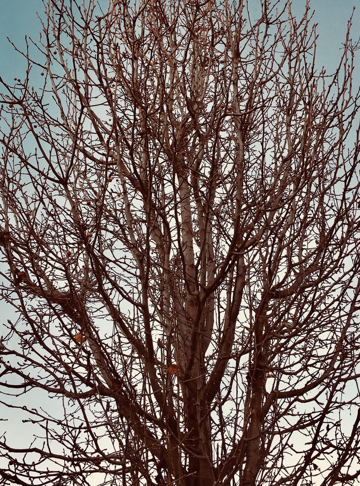 winter