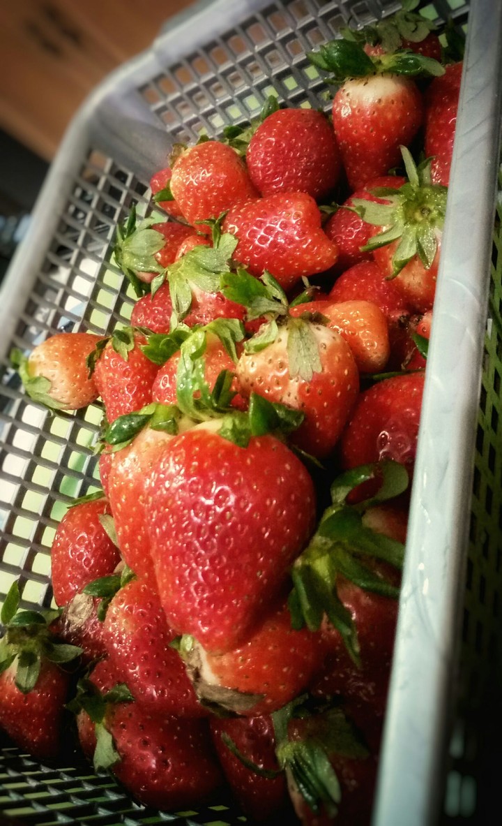 fresh strawberries