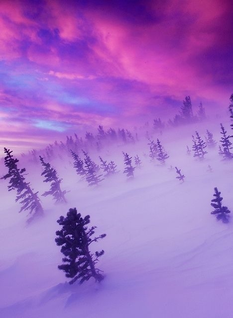Winter