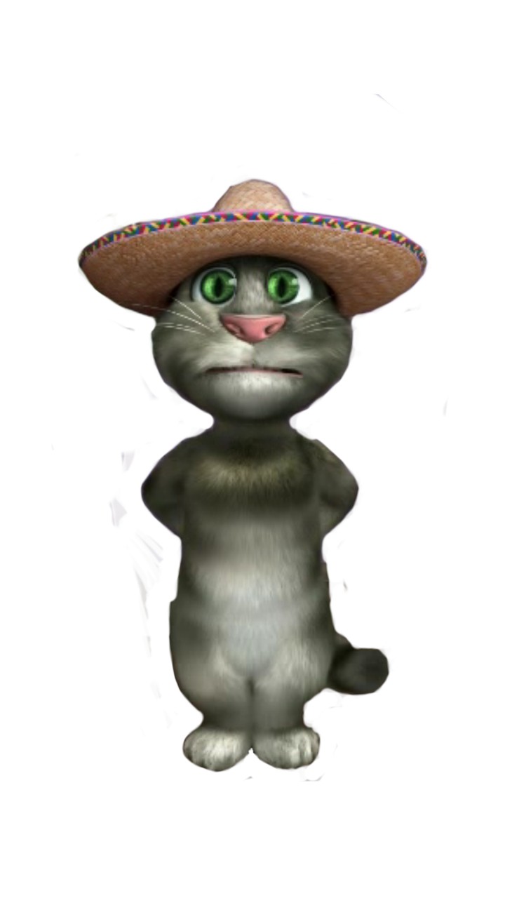 Talking Tom