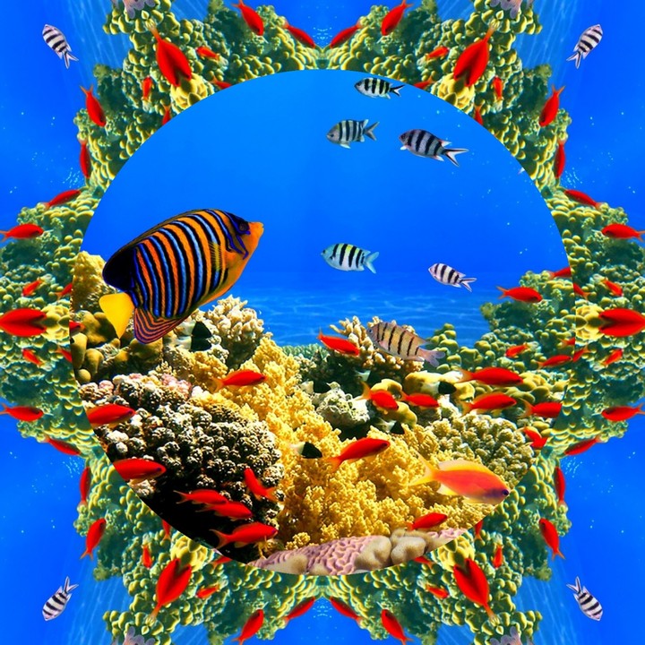 Peixes