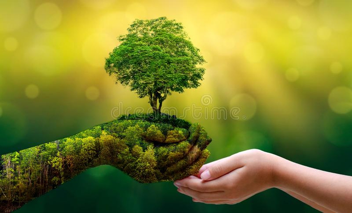 tree's