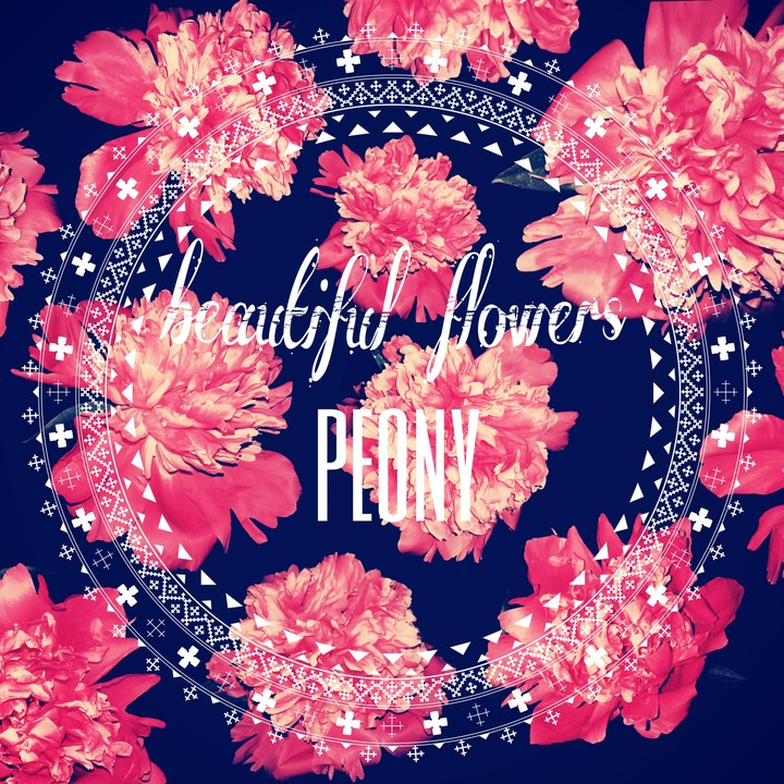 peony