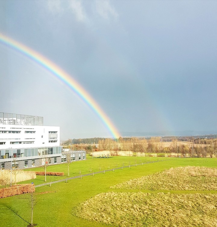 Rainbow