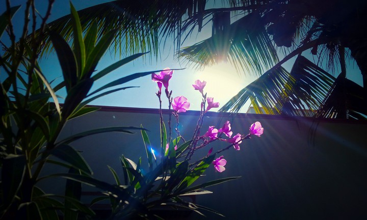 SunRise