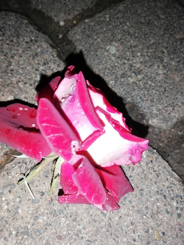 lost love