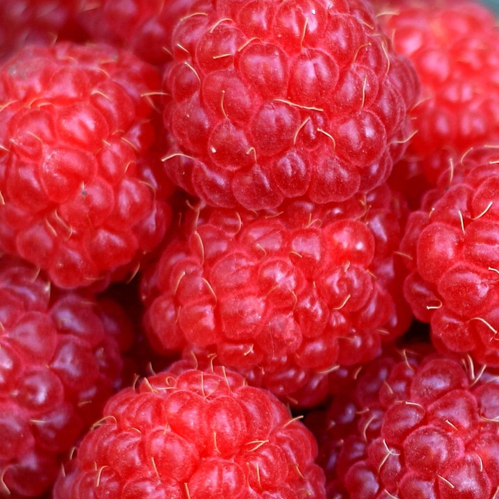 Ripe and mouth-watering raspberries