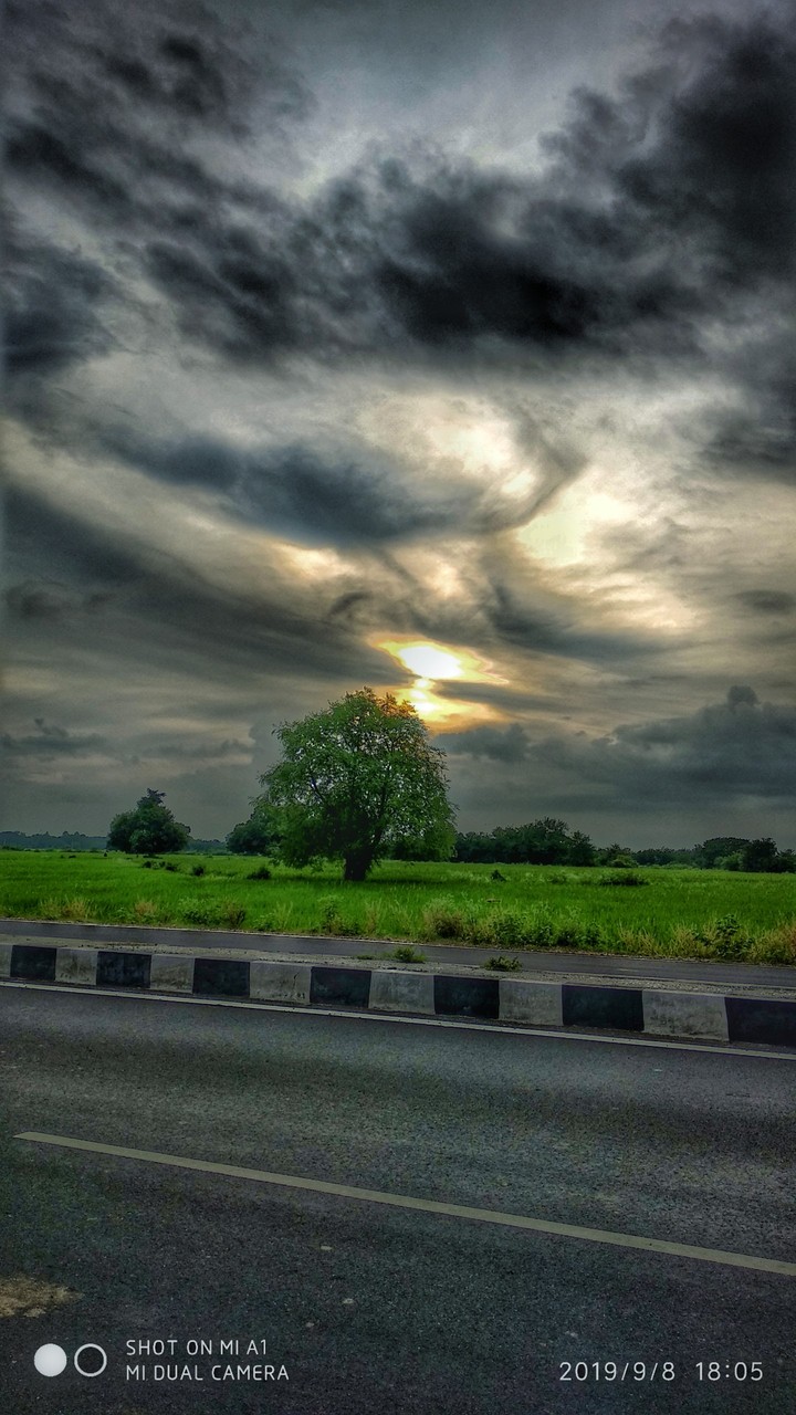 nature