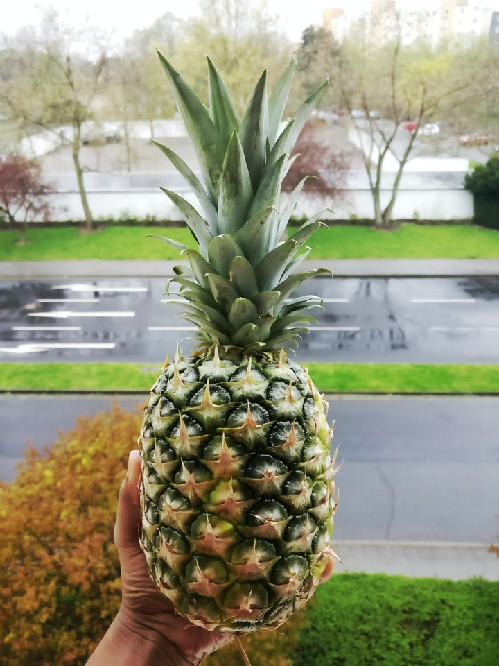 pineapple