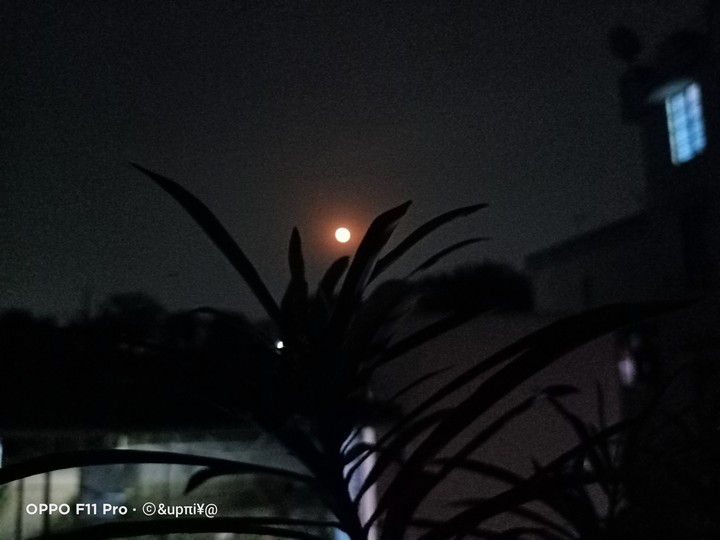 moonlight