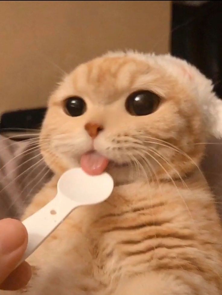 。
