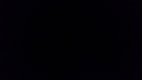 night