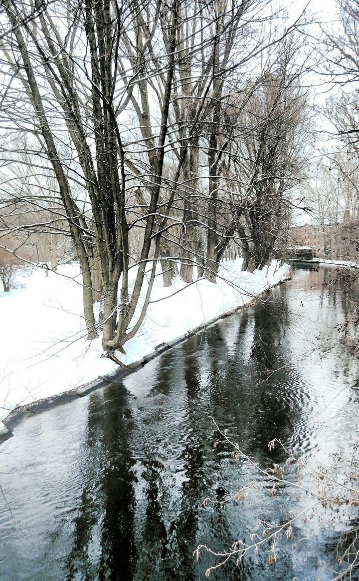 winter