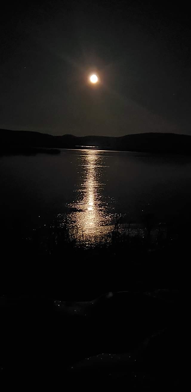 Night Sky
