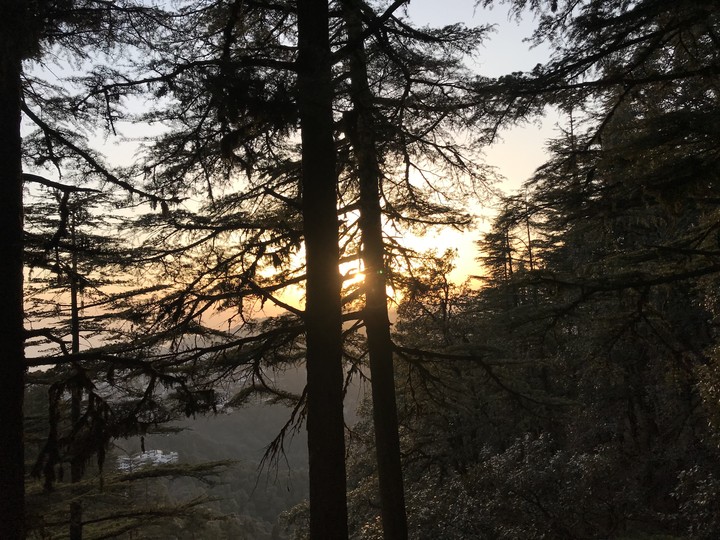 nature love