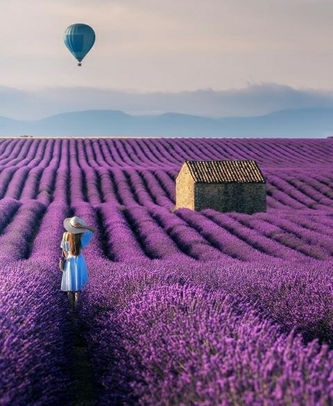 purple