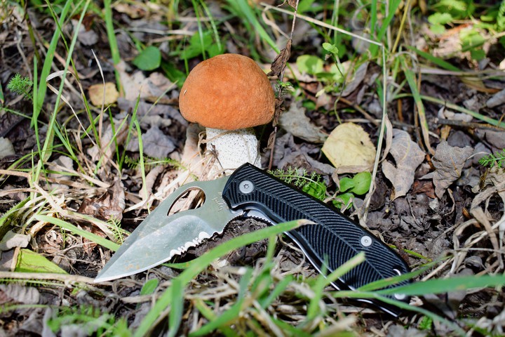 mushroom and knife