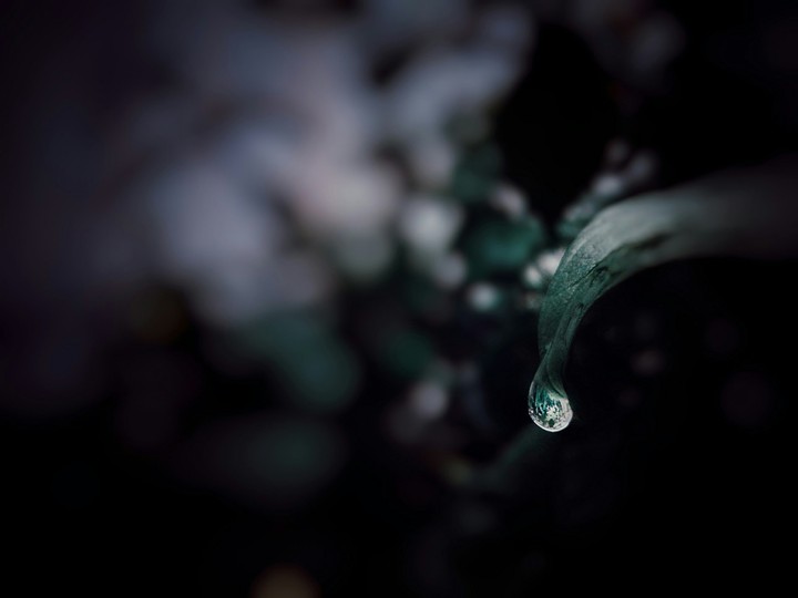 Water drop