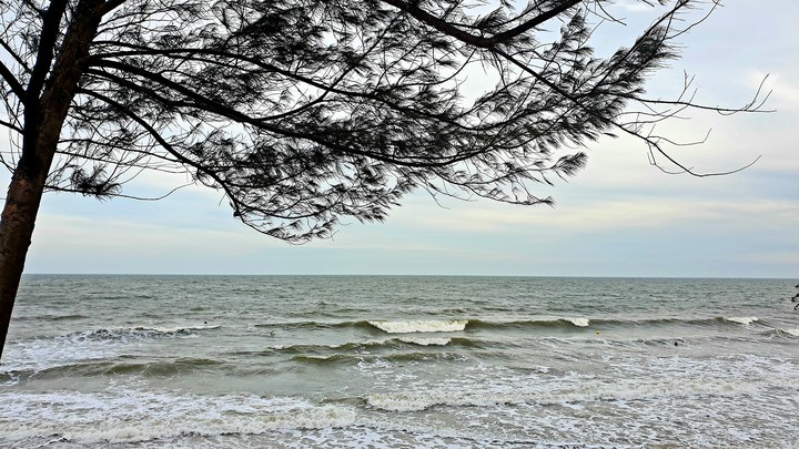 Sea