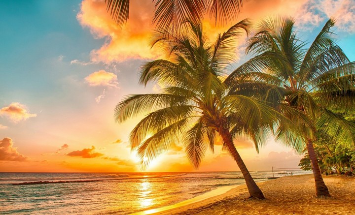tropical