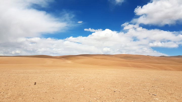 desert
