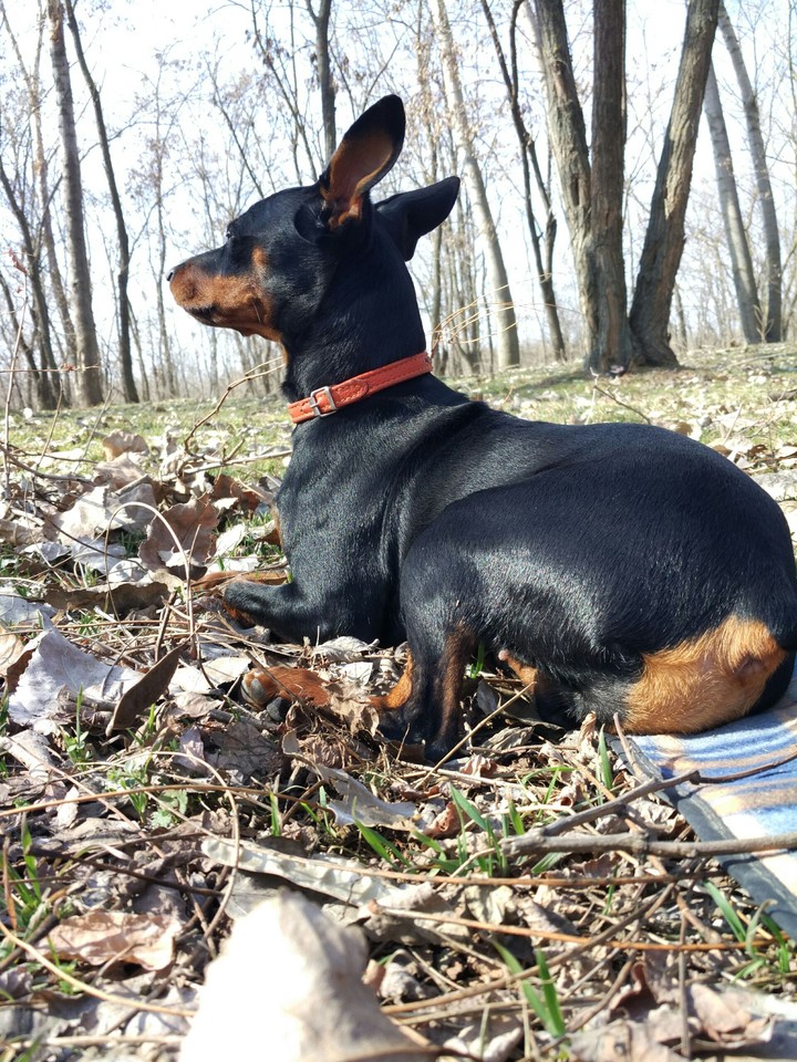 Bell takes the sun bathing