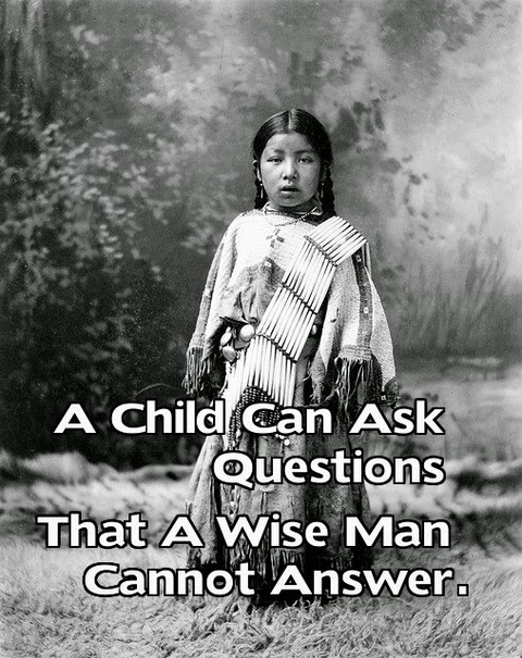 Native American saying