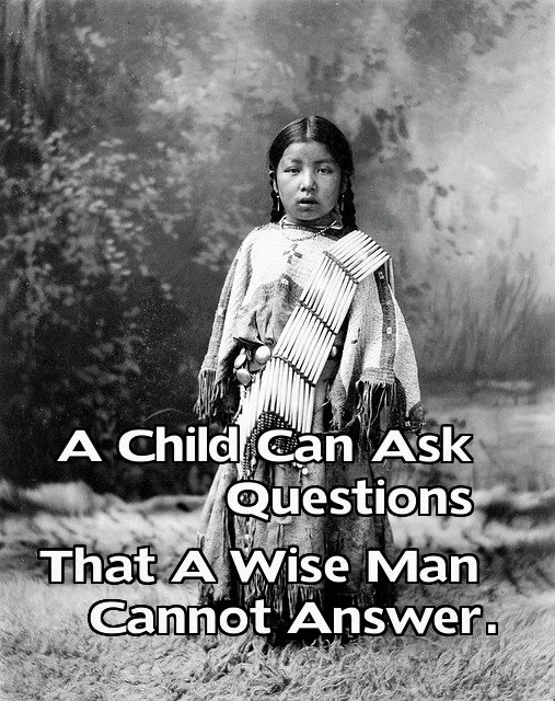 Native American saying