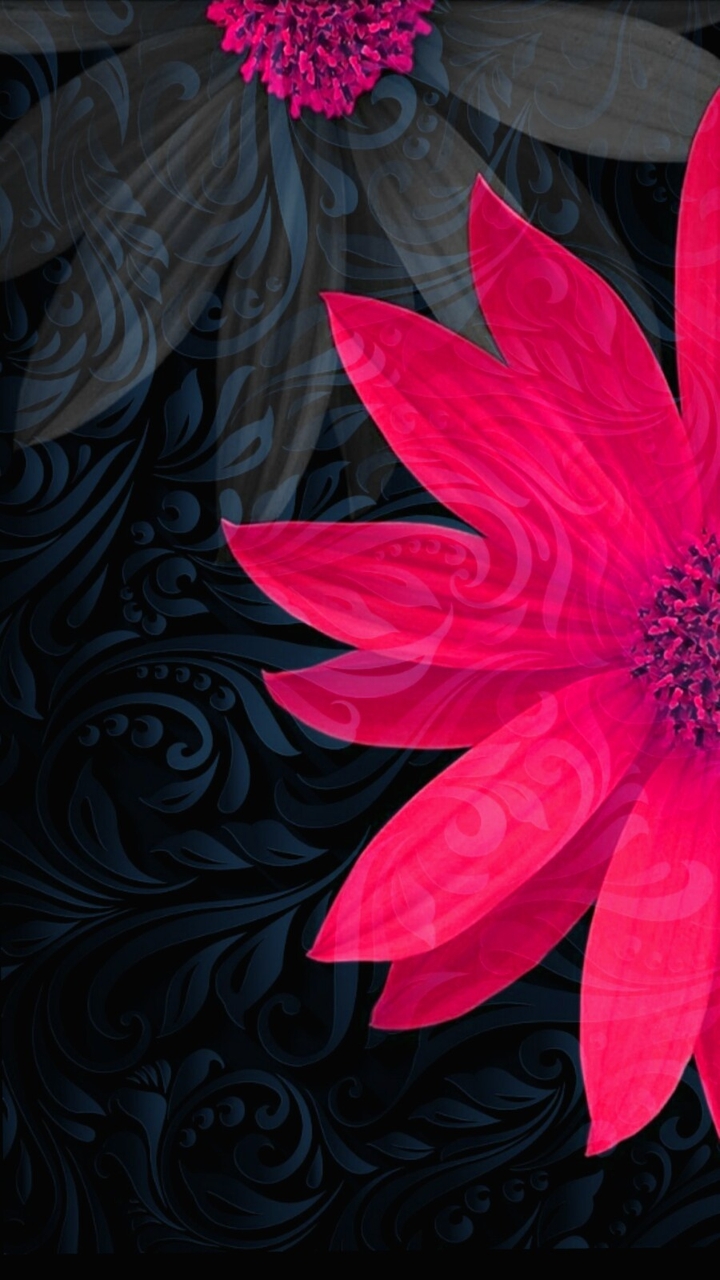dark and flowers