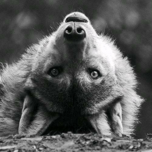 feeling playful