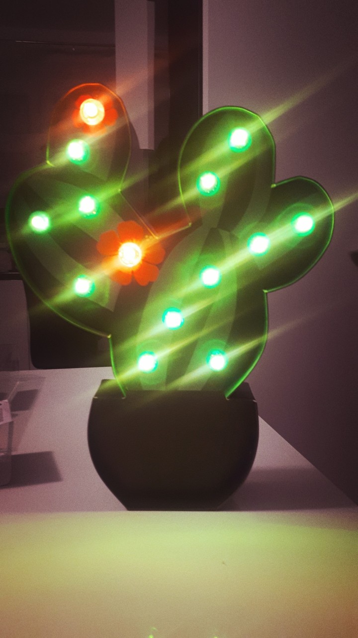 cactus
