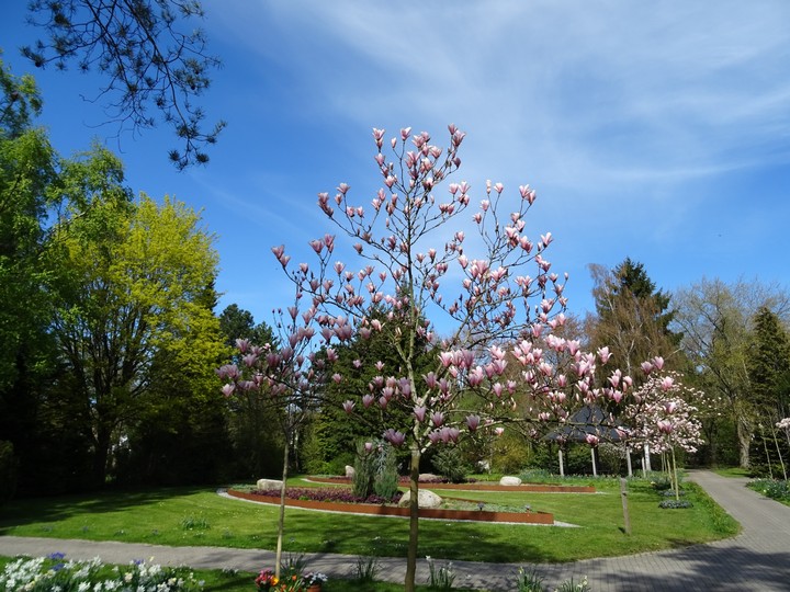 Frühling