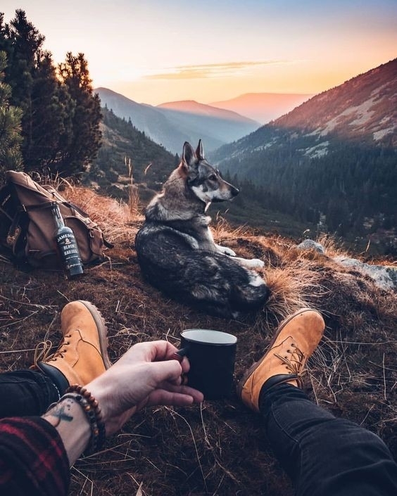 Nature Photography